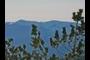 Alpine Meadows