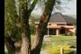 Adventist Church