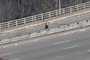 Jaywalker?