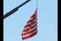 Don't tread on me flag