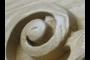 Scrollwork