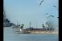 Seawolf Park