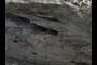 The Newberry Gravel