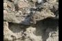 sharp erosional contact