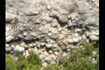 42724-210x140