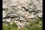 Conglomerate