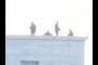 Secret Service snipers?