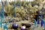 Chiculy at Phipps, Pitsburgh