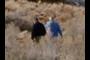 Couple Hiking