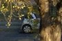 Half car