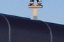 Campbell Stokes Sunshine Recorder
