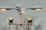 Lights On