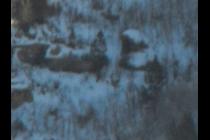 46611-210x140