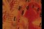 Circle of Fifths - Music