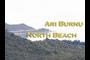 Ari Burnu and North Beach