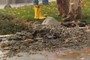 Debris