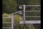 banisters