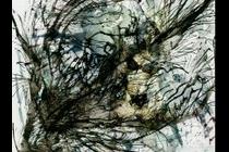 47447-210x140