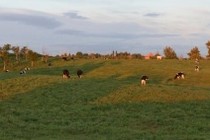 4333-210x140