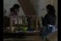 Bottle Processing