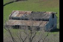47854-210x140