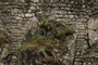 Boulders in walls