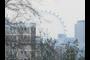 London Eye