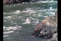 48573-210x140