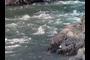 white water