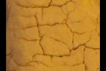 48739-210x140
