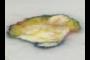 Slice #6