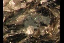 49731-210x140