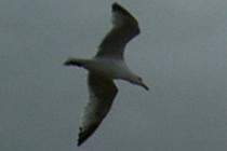 4691-210x140