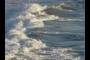 Breaking Waves