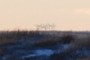 Windmills
