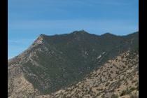 50255-210x140