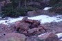 Campfire rocks
