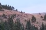 End of Forest Svc Road