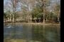 pond