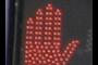 The hand