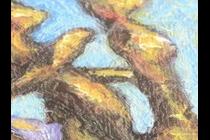 53391-210x140