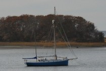 5110-210x140