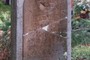 Lloyd Miller's Grave