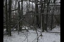 52918-210x140