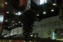 Giant pine cone