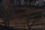 Confluence park