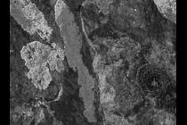 53569-210x140