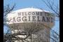 Welcome to Aggieland