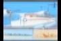 plane info