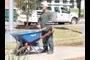 Wheelbarrow Guy